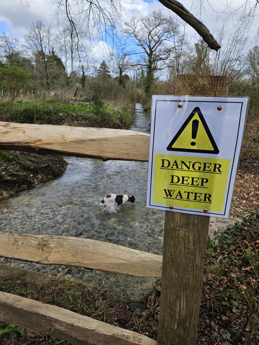 TSD Chhubohe and RSD Oppo (RIP) tweet media