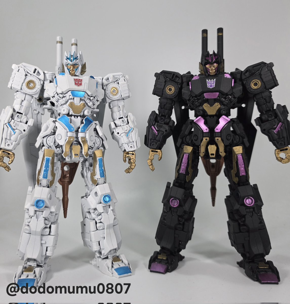 DS (でぃーえす) tweet media