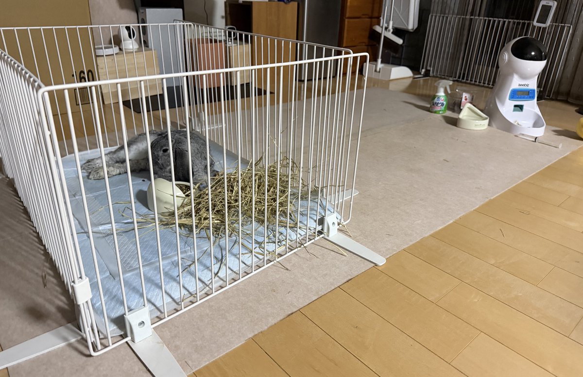 ぷんく tweet media