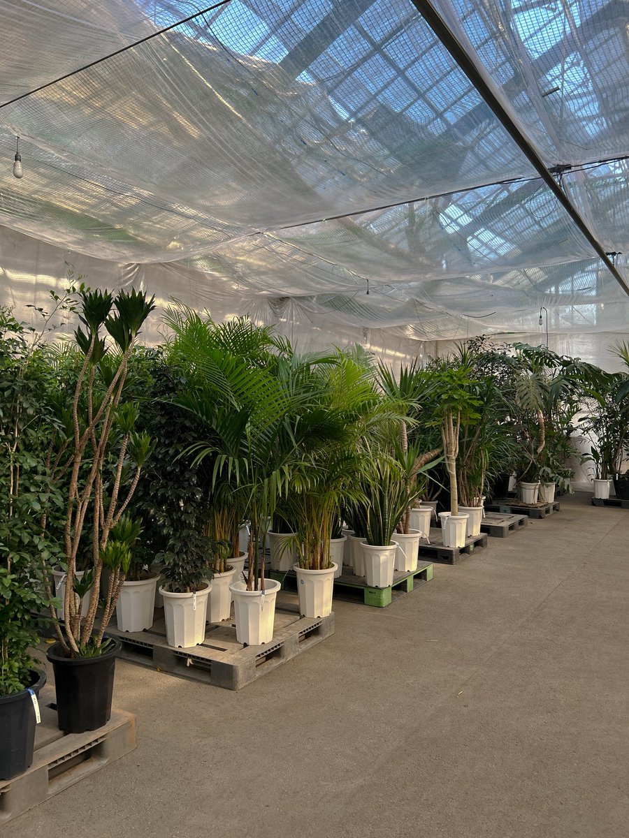 ⍴⌠⎰⊺⍴⊺⌠⏥犬の専門店 tweet media