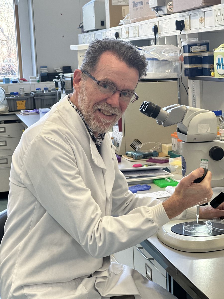 University of Aberdeen tweet media