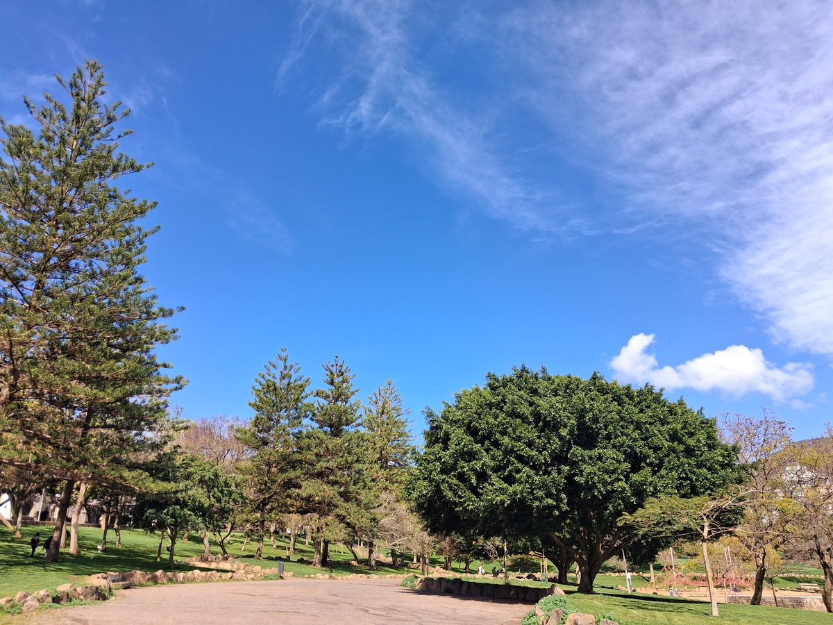 Erminda PG tweet media