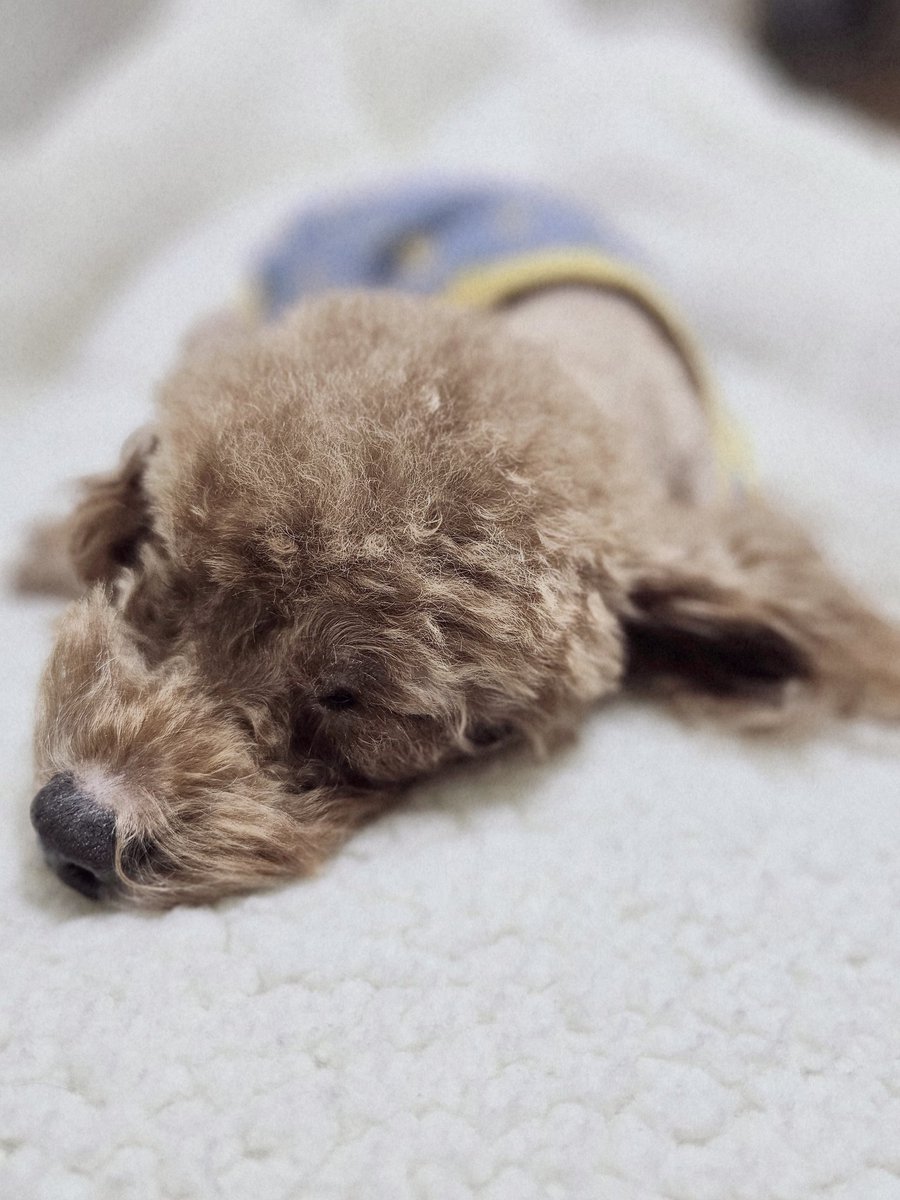 ੯•́໒꒱감쟈 tweet media