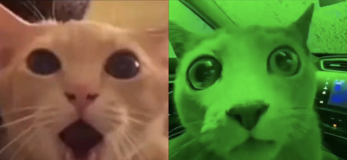 luv(sic)💔 SHANKS SZN tweet media