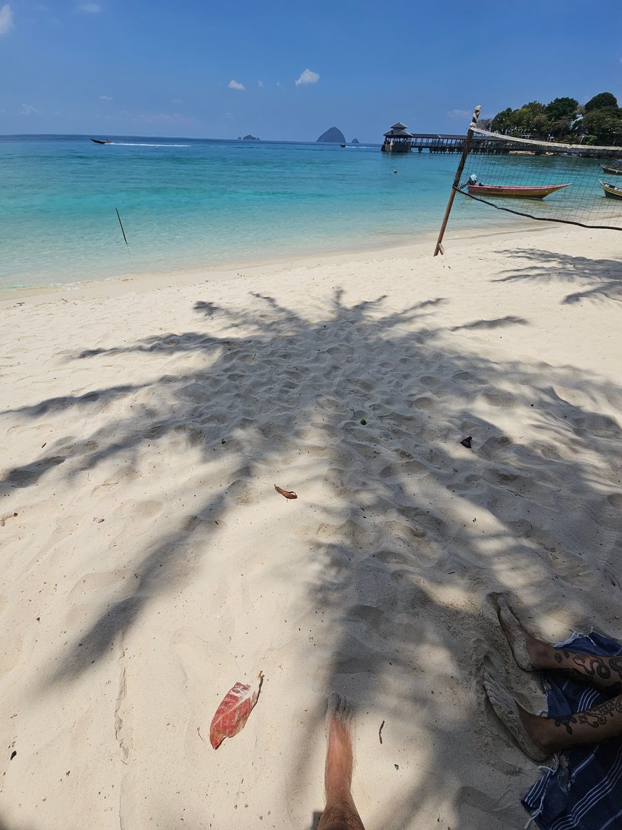 Alpha God Jake tweet media