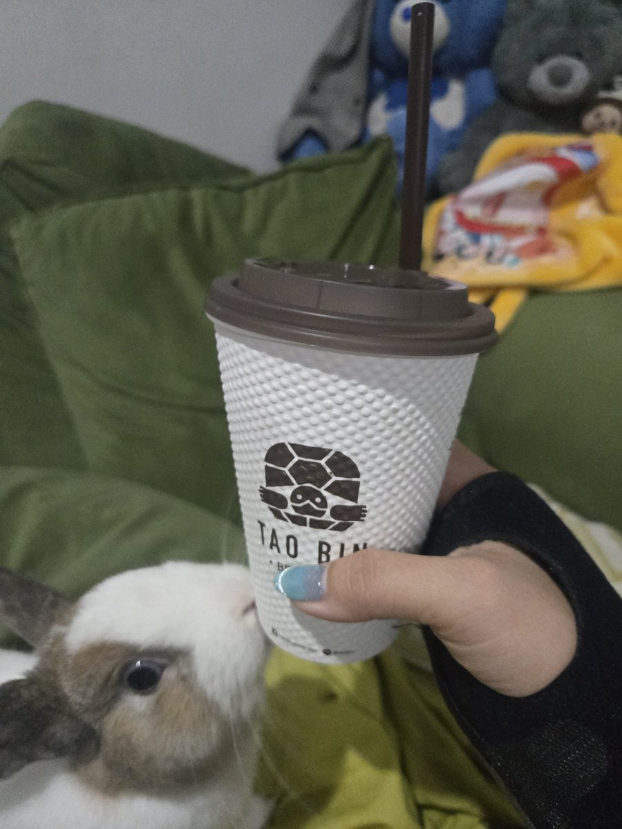 ผัก🥬 (*゜Q゜*) tweet media