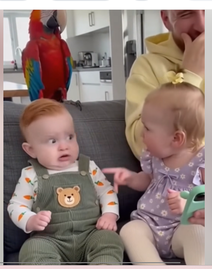 test tester tweet media