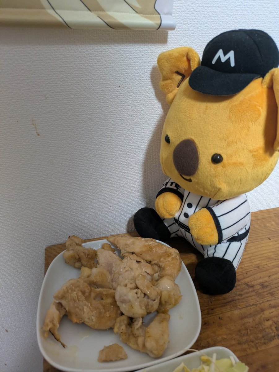 鴎と🐰ファンの食う寝るさん球春到来 tweet media