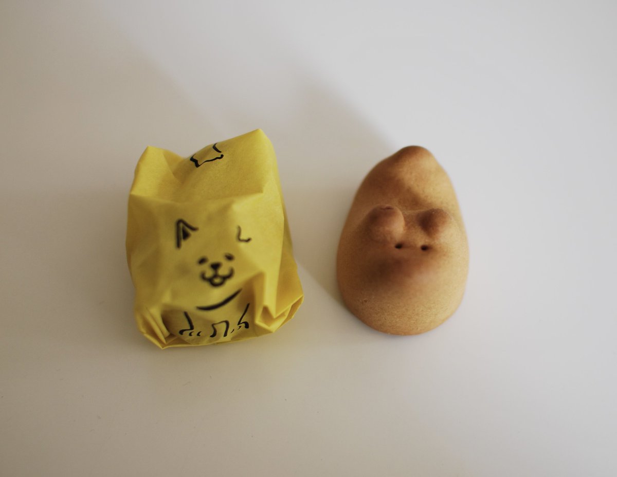 カネヒラ tweet media