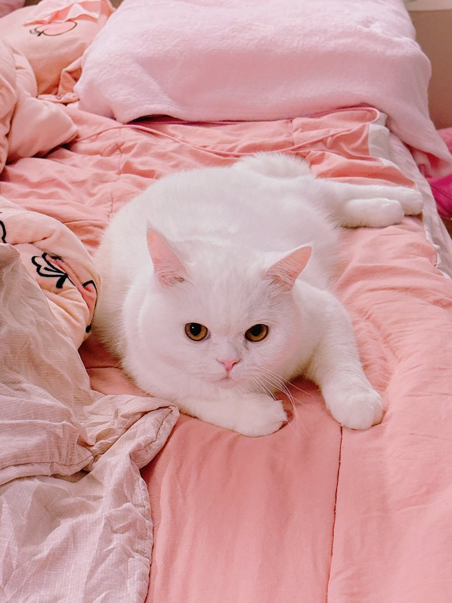 🎀희나🎀 tweet media