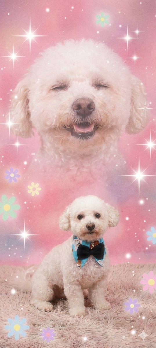 Mary♡🍷☁️🦒 tweet media