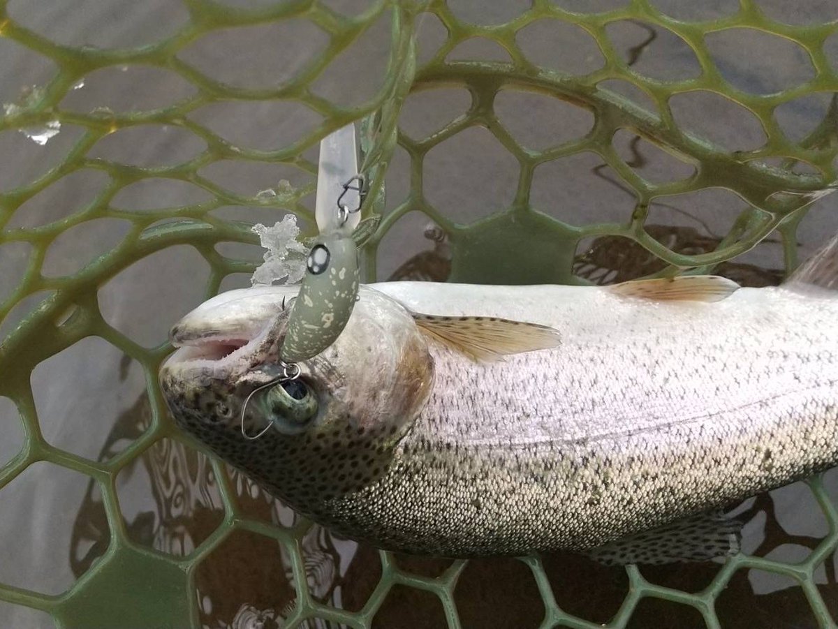 くらえい tweet media