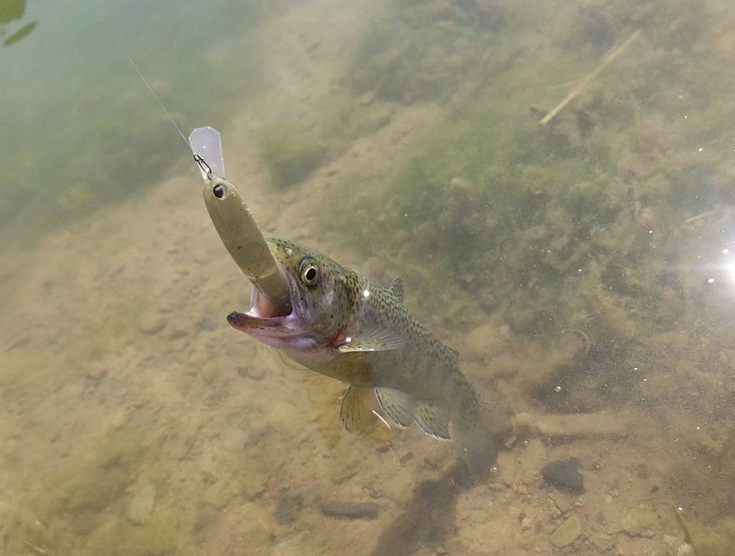 くらえい tweet media