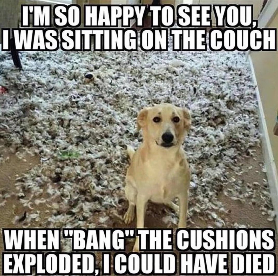 Tyler Ratcliff tweet media