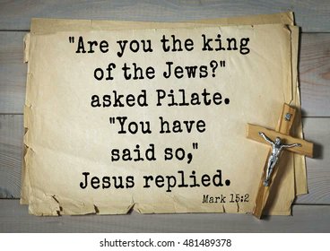 Tom Steers tweet media