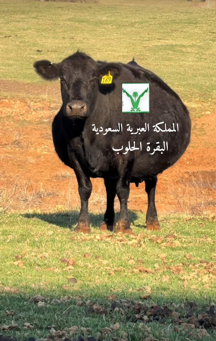 𝓶𝓪𝓱𝓲𝓻 𝓪𝓵𝓯𝓪𝓻𝓽𝓾𝓬𝓲 tweet media