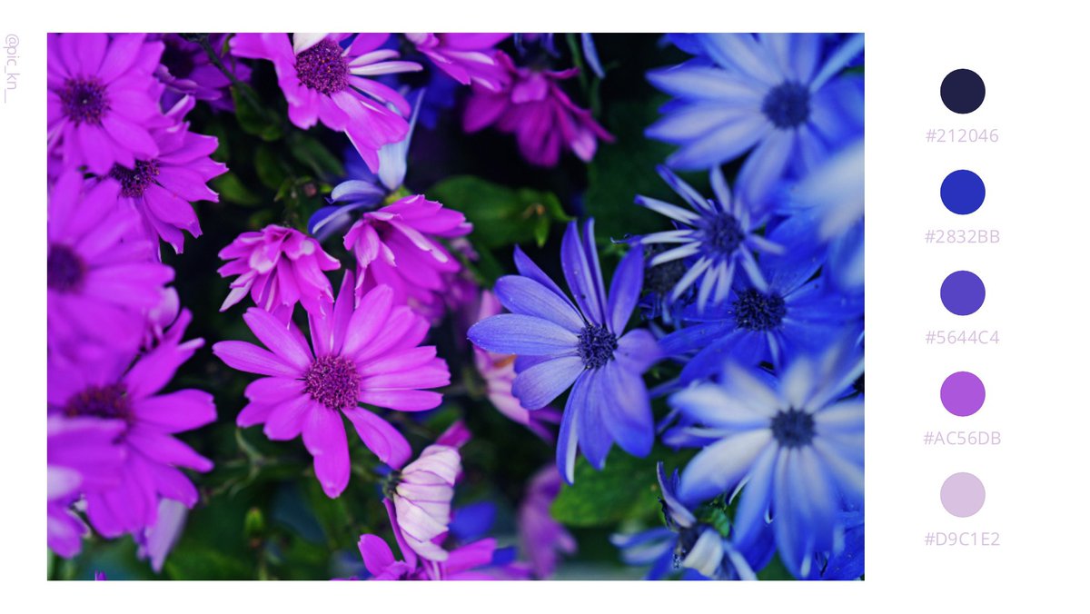 タクヲ tweet media