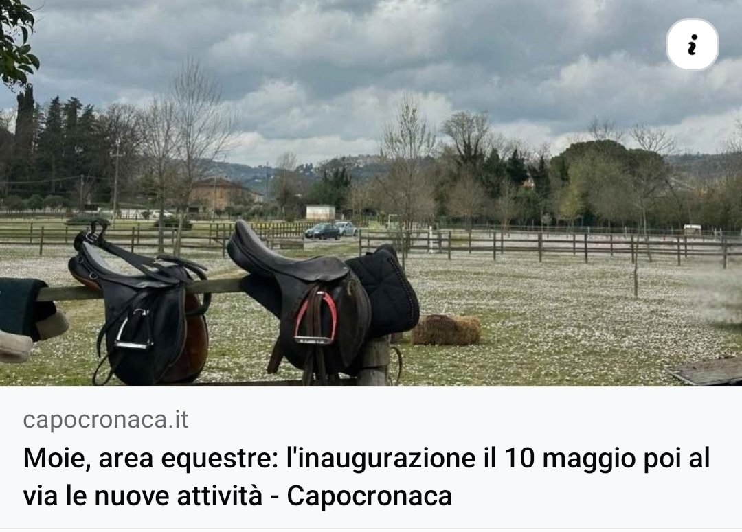 eddi ceccarelli tweet media