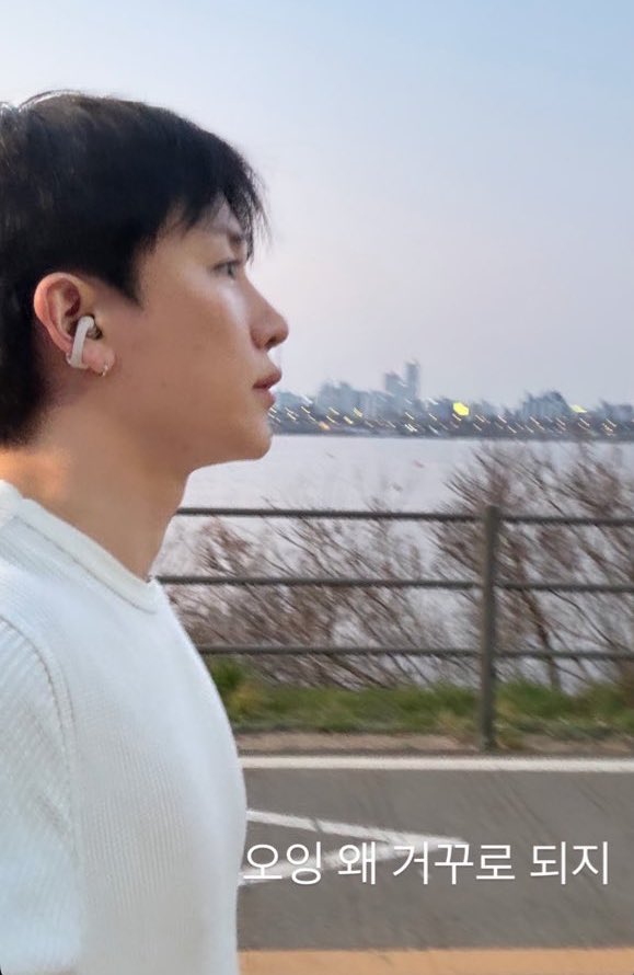 빵랑동이 tweet media