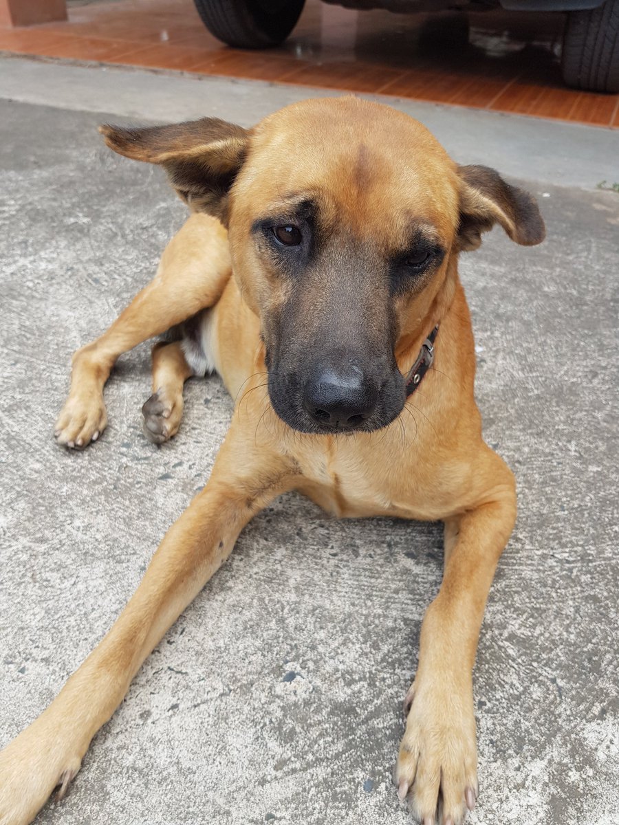 ✝️คือทุกครั้งที่รักของเธอส่องใจ ฉันมีปลายทาง🌟 tweet media