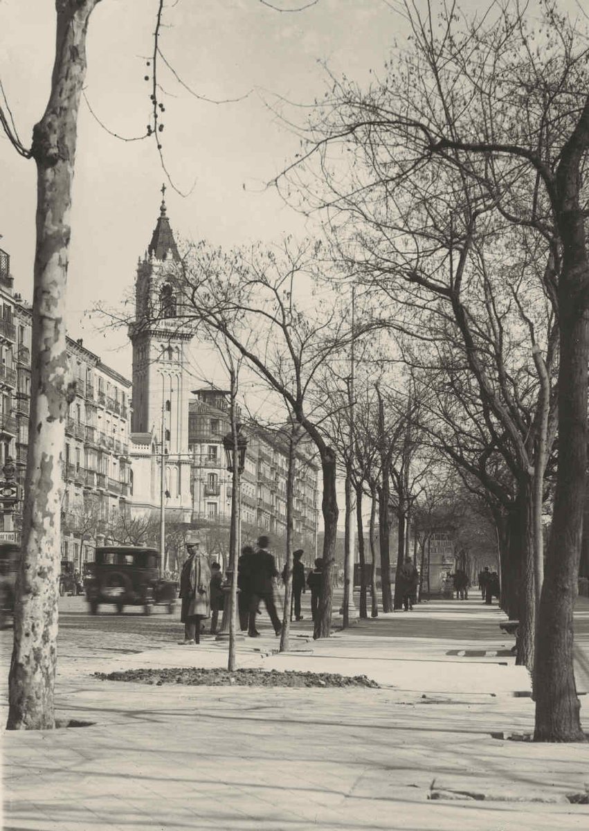 𝑻𝒐𝒏𝒊 🚂 tweet media