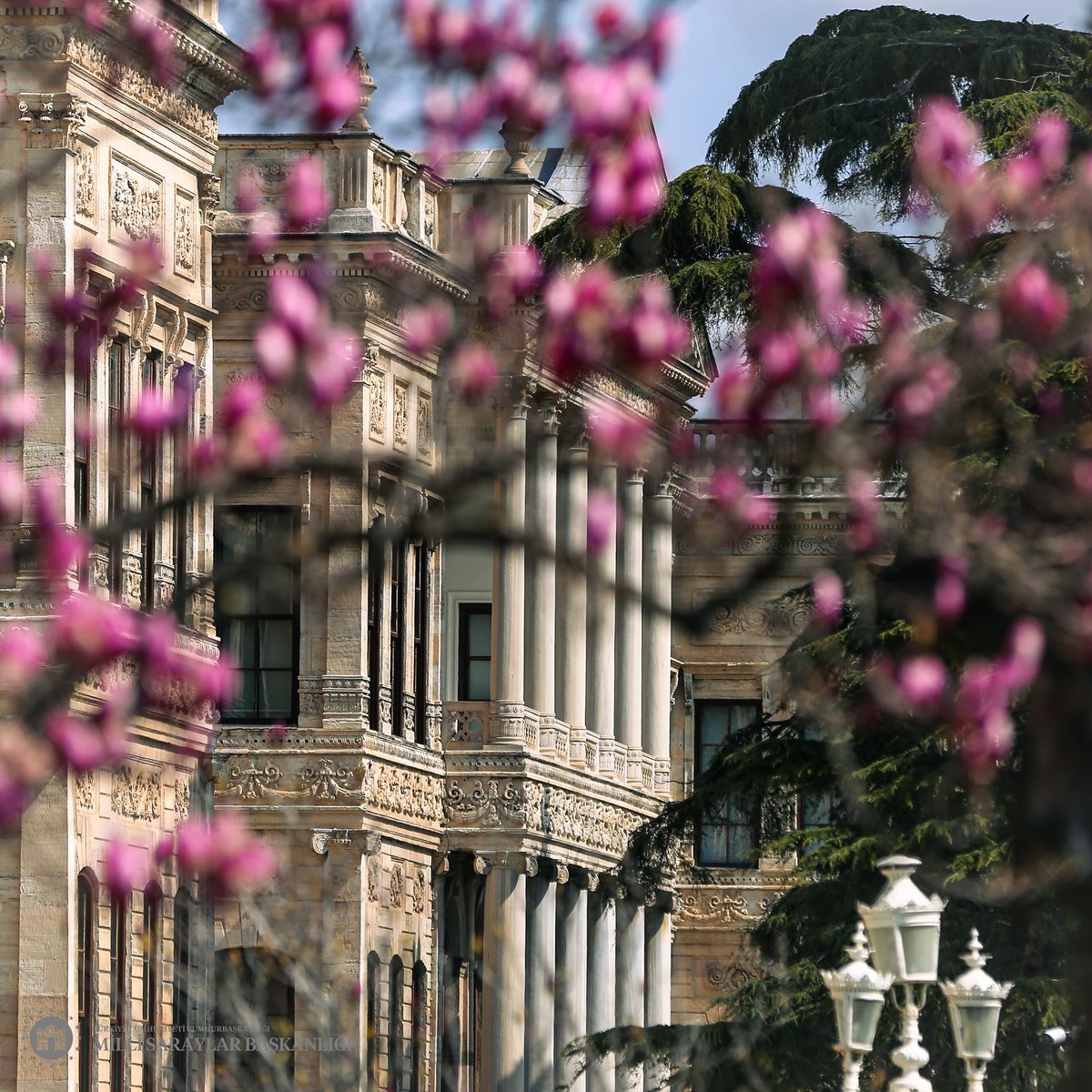 Milli Saraylar tweet media