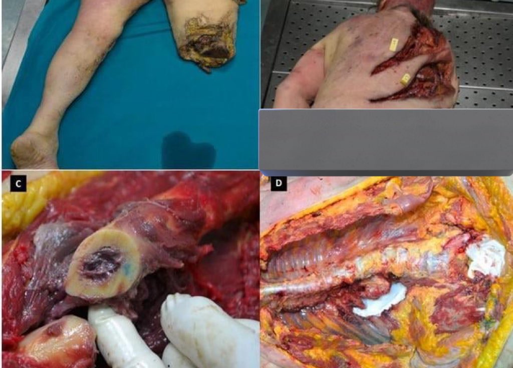 معاذ عيد - جنائيات tweet media