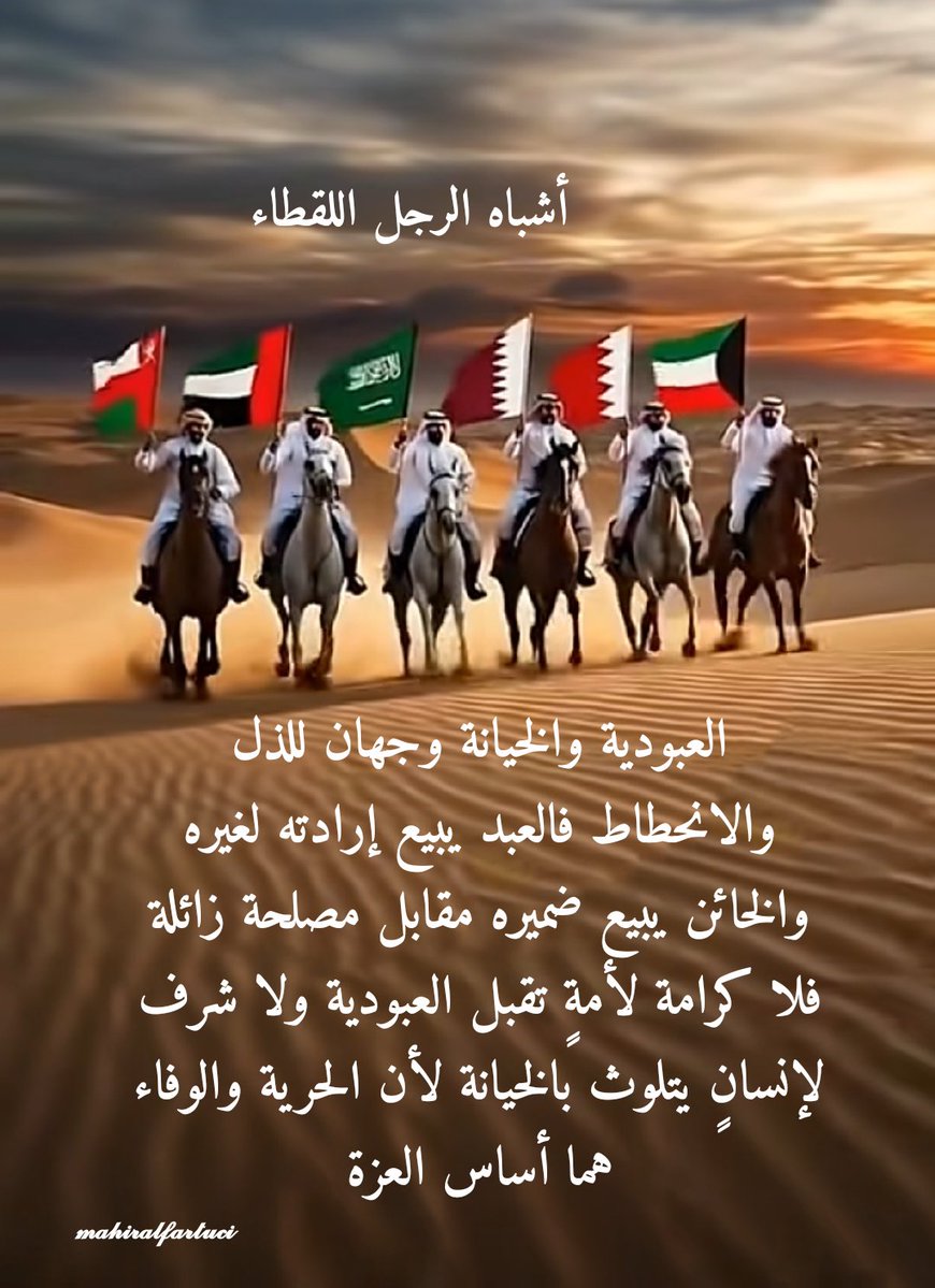 𝓶𝓪𝓱𝓲𝓻 𝓪𝓵𝓯𝓪𝓻𝓽𝓾𝓬𝓲 tweet media