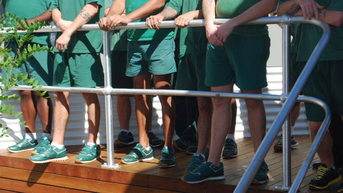 Sippingseed 🇦🇺 tweet media