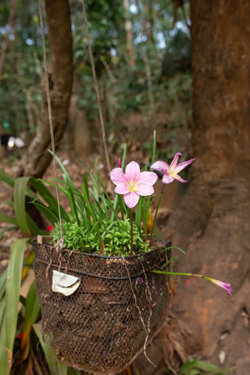 People's Archive of Rural India tweet media