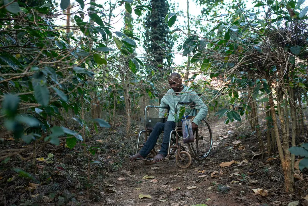 People's Archive of Rural India tweet media