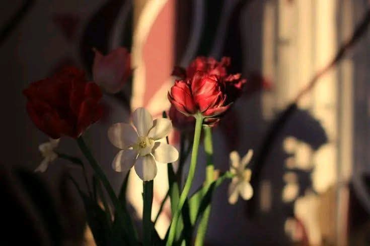 احتیاط!
 
میں نے فون چارج کیا
میسج ٹائپ کیا
 پھر سوچا
اگر آپ نے جواب نہ دیا
تو یہ رات بہت لمبی ہو جائے گی