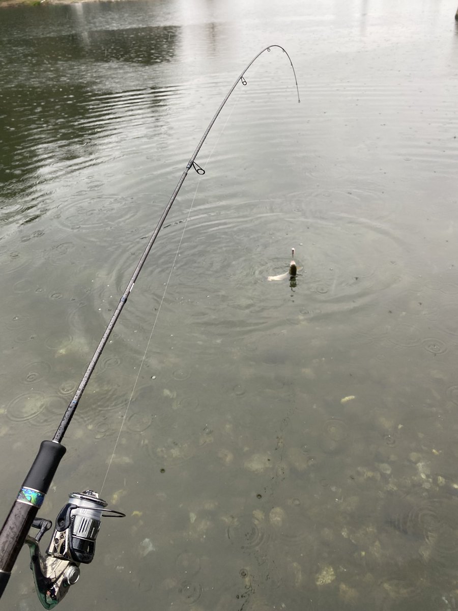 信州釣り大好き芸人 tweet media