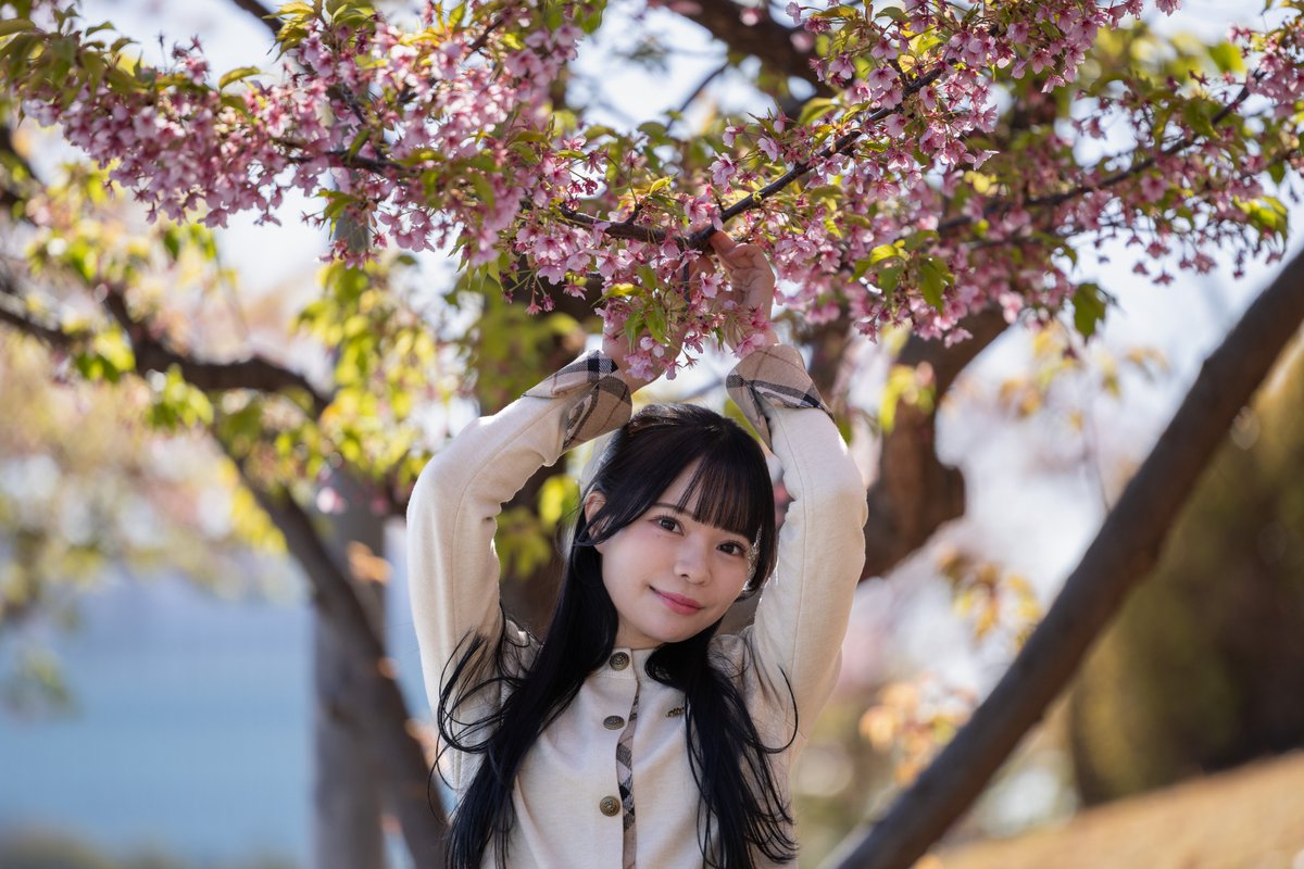 モゲラ tweet media