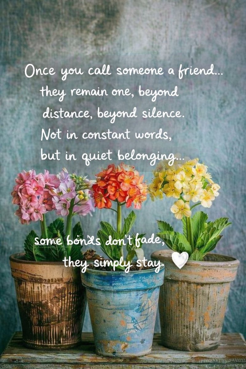 jypsy🕊️ tweet media