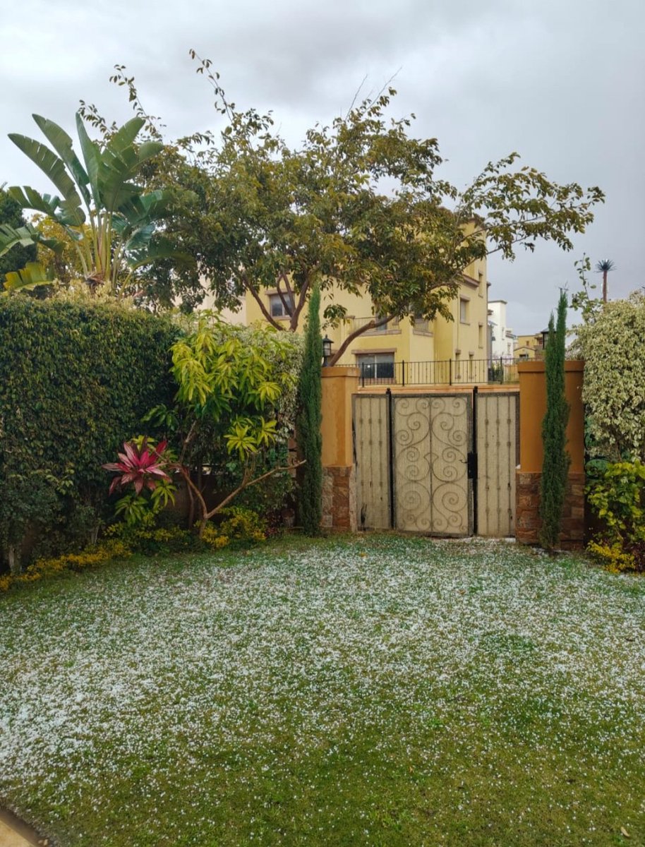 hatem zayed tweet media