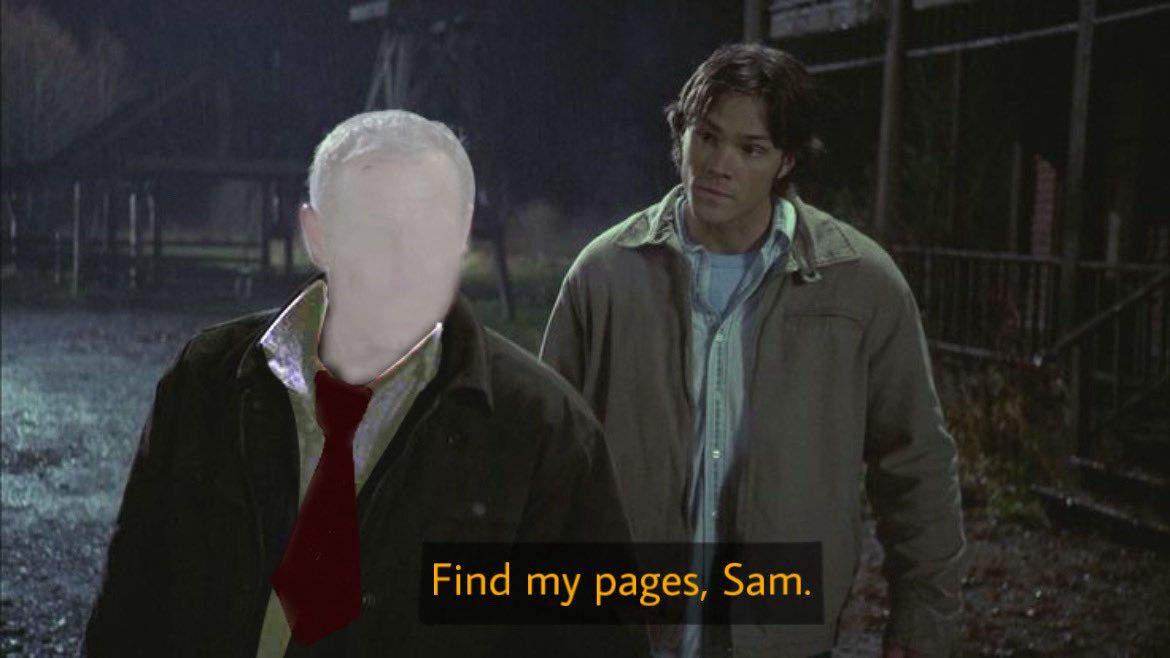 jesse🐾 tweet media