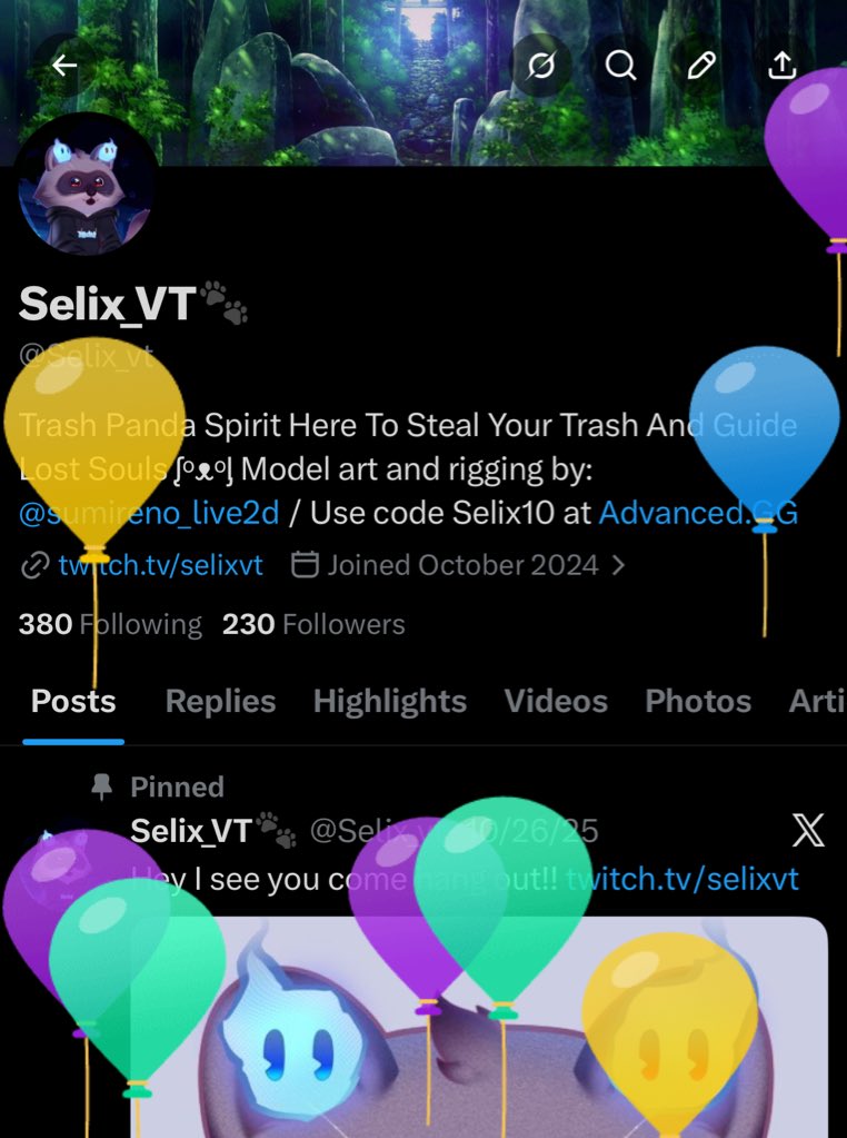 Selix_VT🐾 tweet media