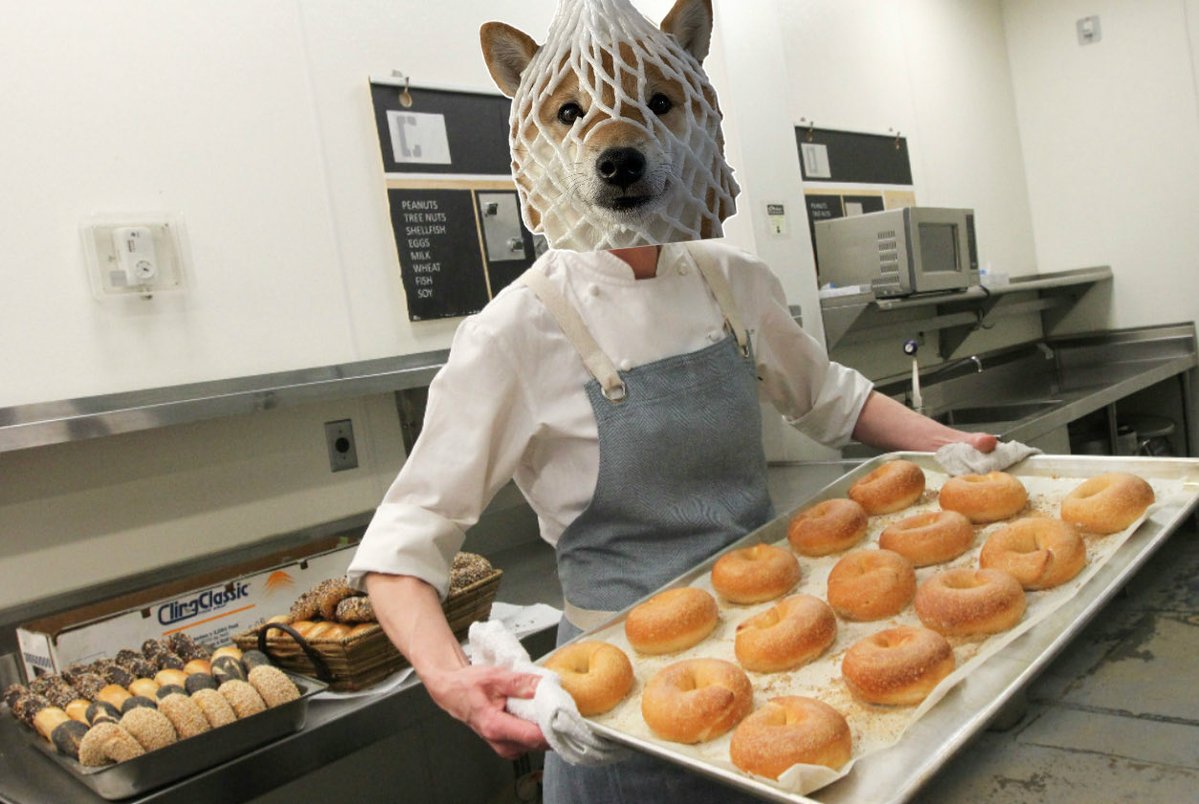 Wrapped Dog Favorites tweet media