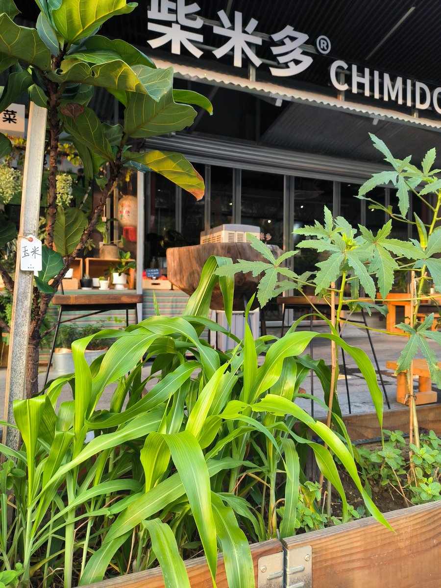 DENTAL ON LINE tweet media