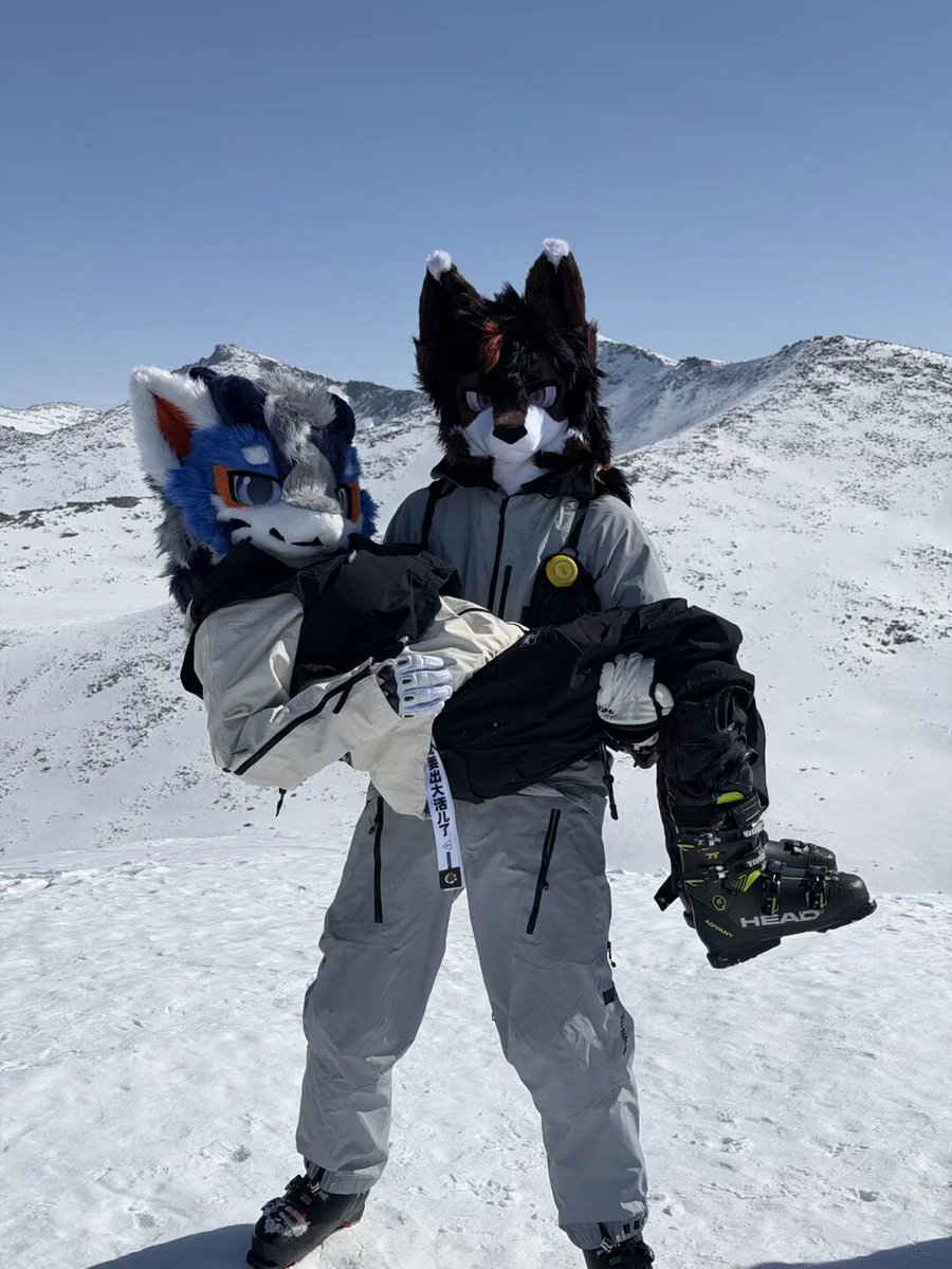 Spring泉 tweet media