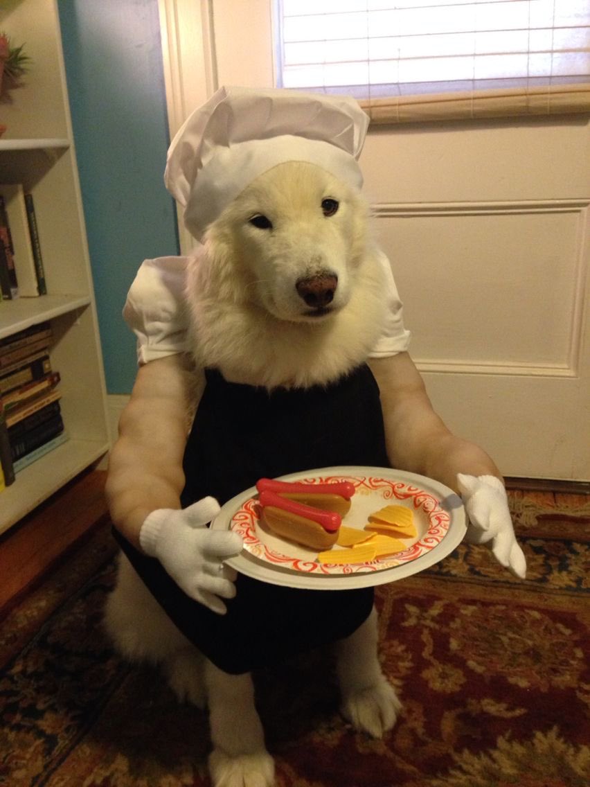 水縹 ·̫ tweet media