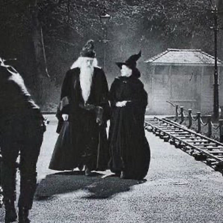 Daily Harry Potter tweet media