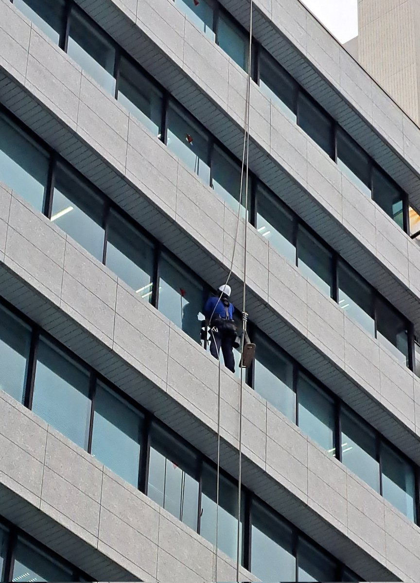 香桃　もこ tweet media