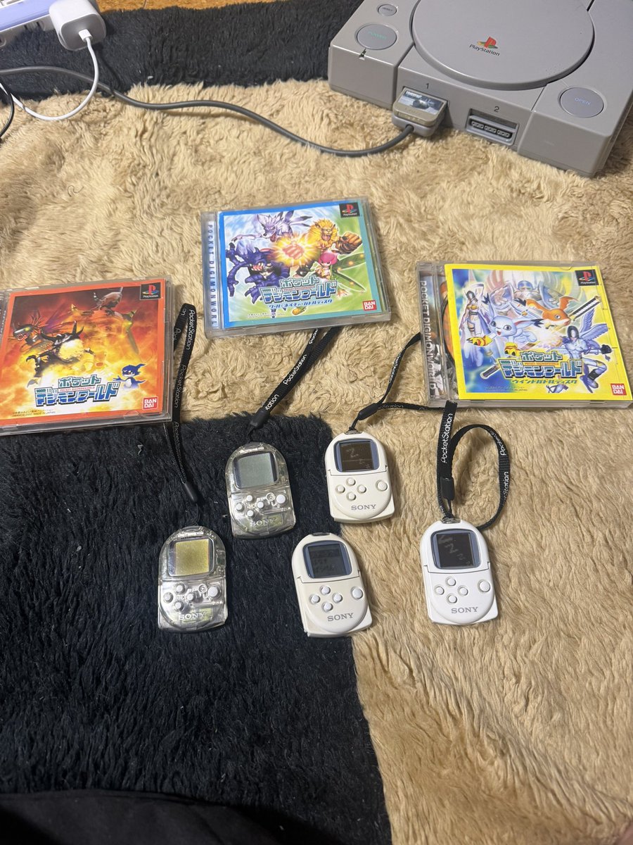 グレイモン tweet media