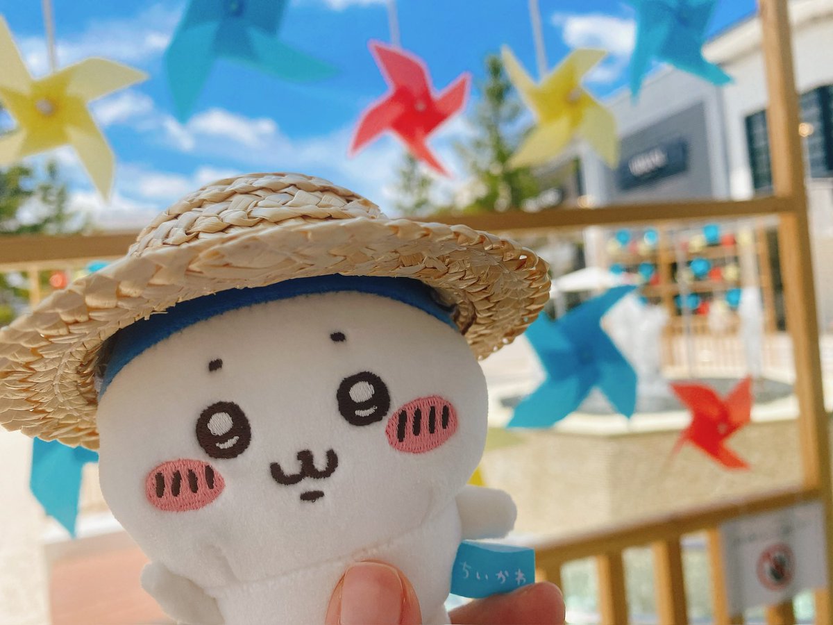 𝓨𝓾𝓨𝓾. ✤ハチワレ推し tweet media