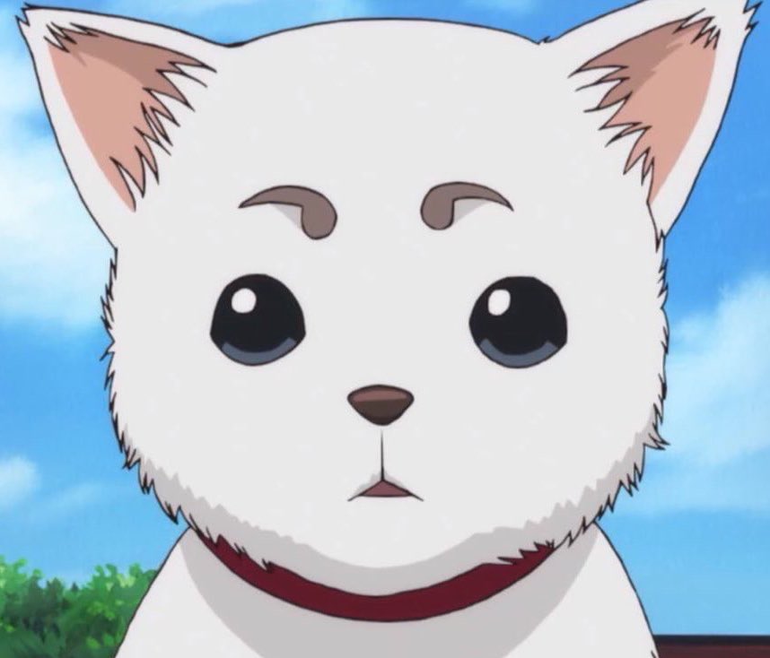 사천.. tweet media