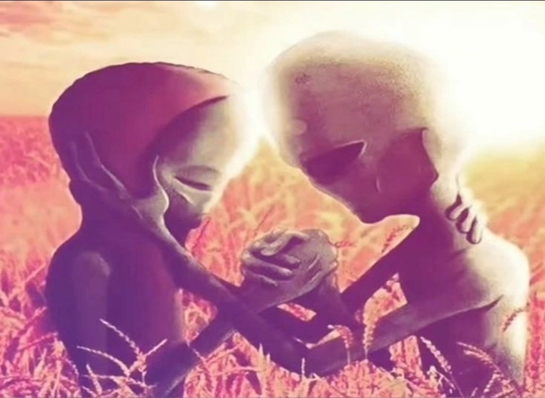 basuravidz tweet media