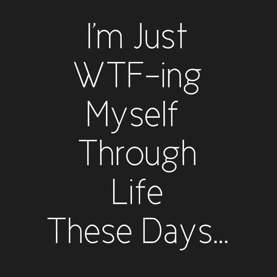 Nerina More tweet media