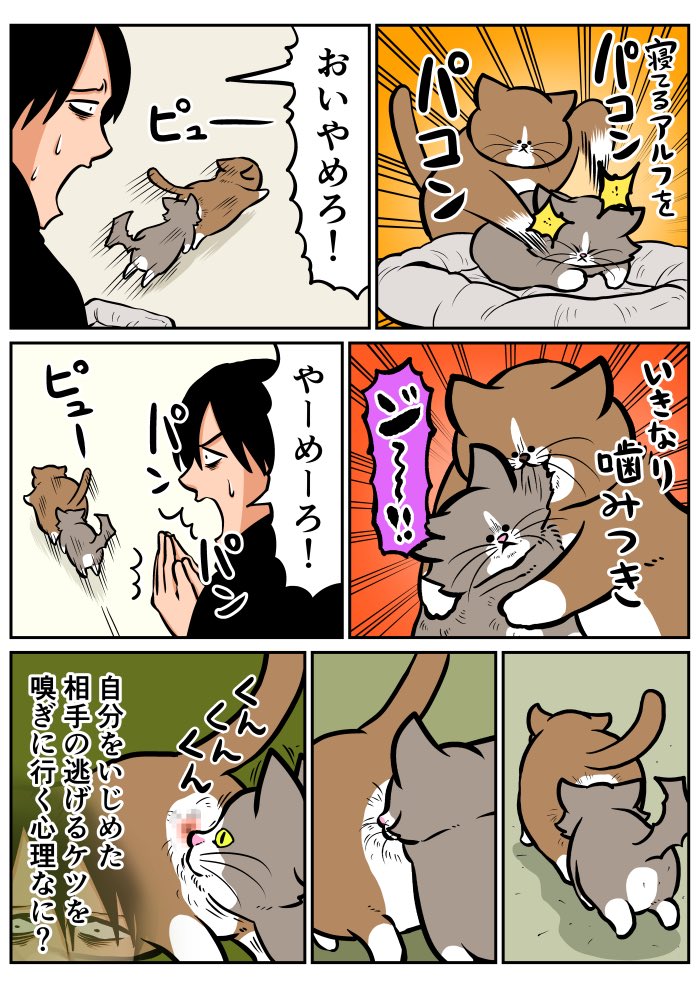 鴻池　剛 tweet media